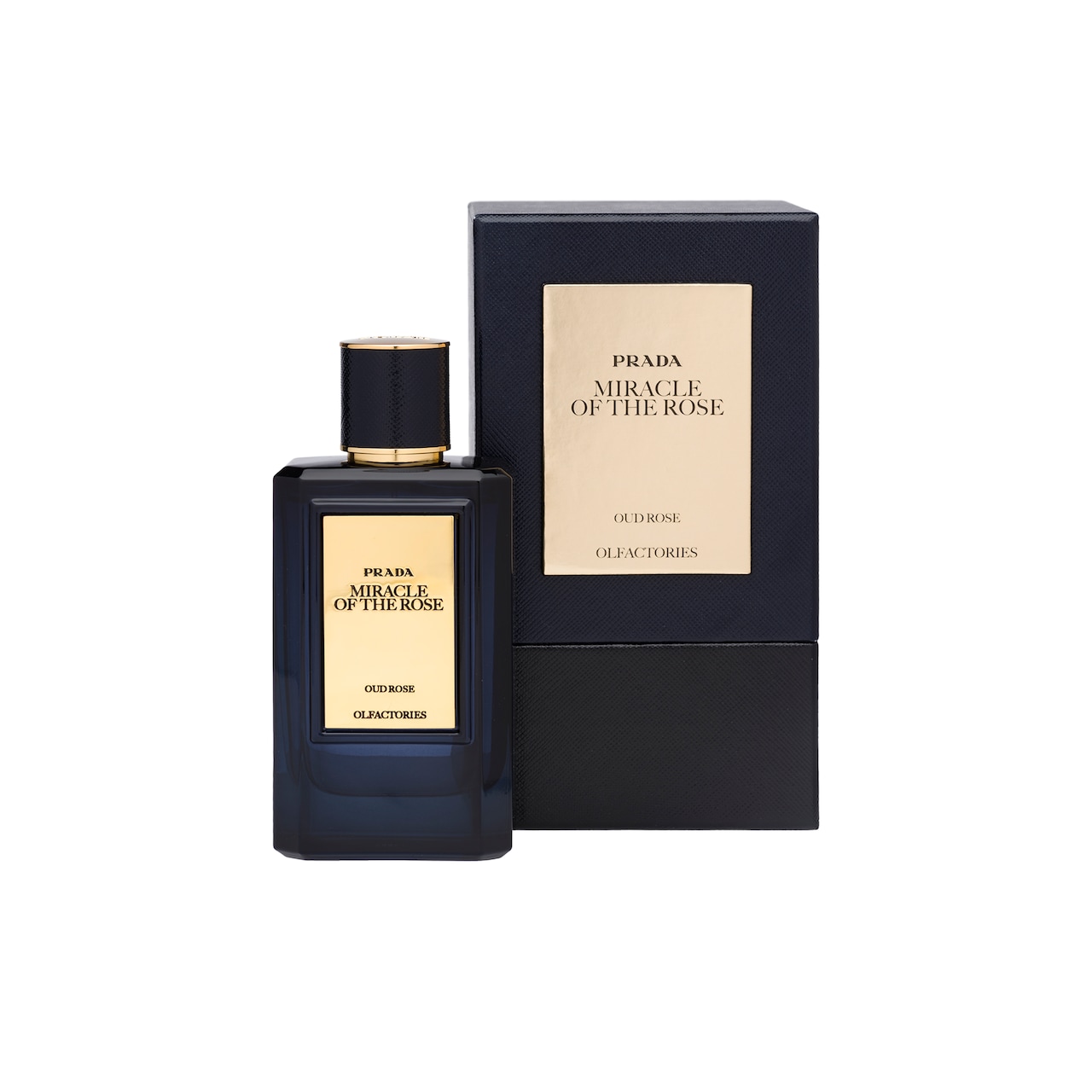 prada oud rose price