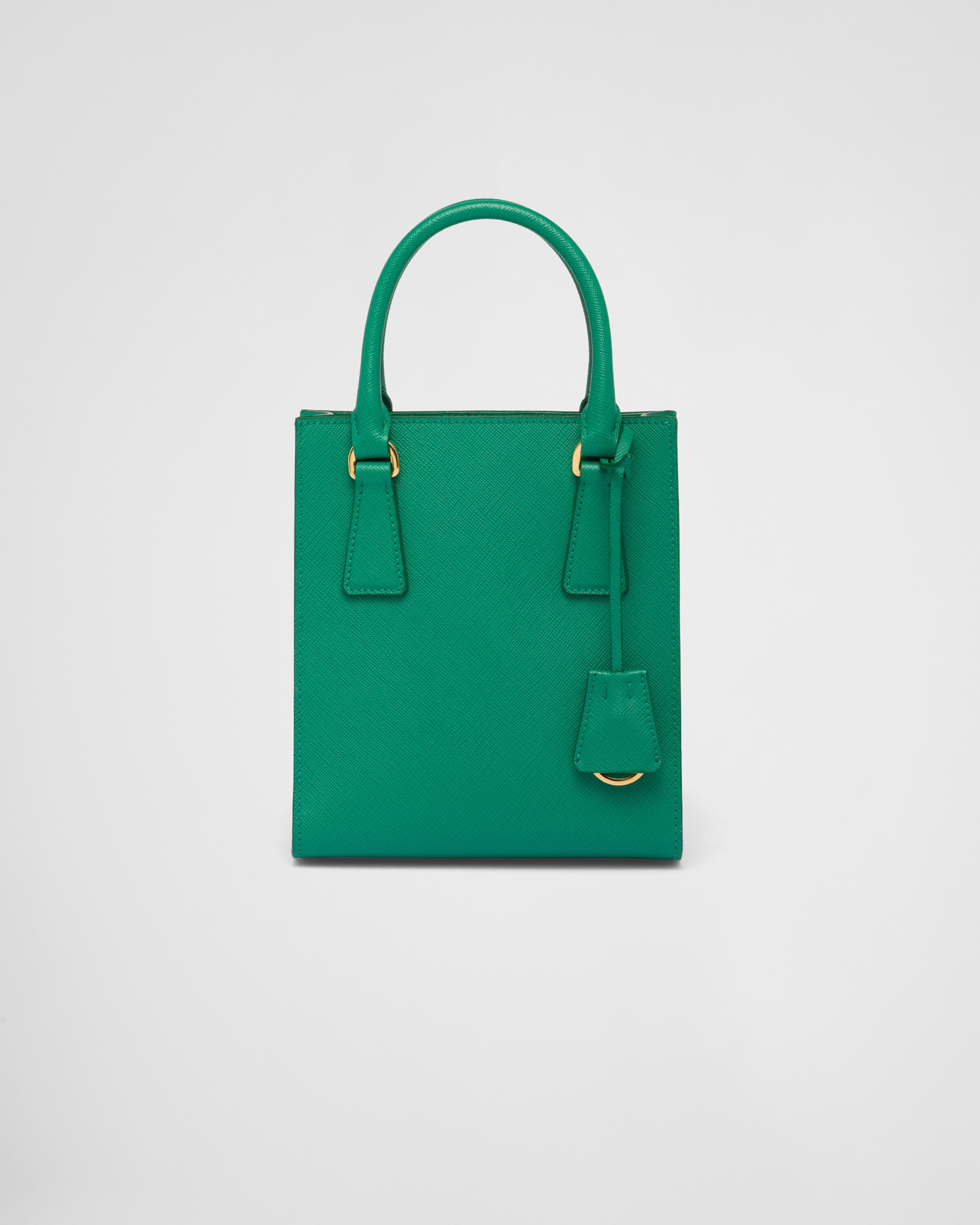 Mango prada 2025 bag