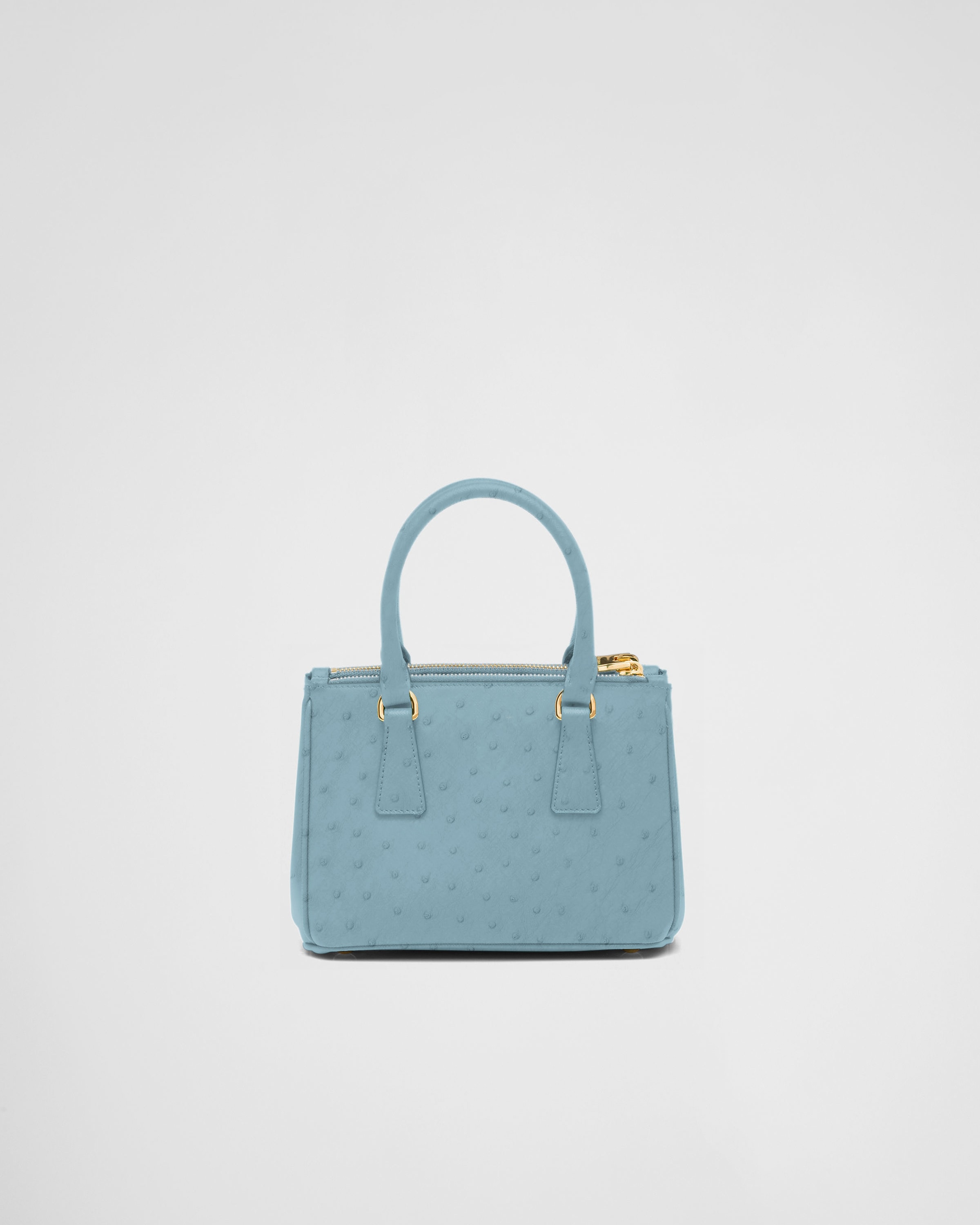 Prada ostrich 2025 handbag