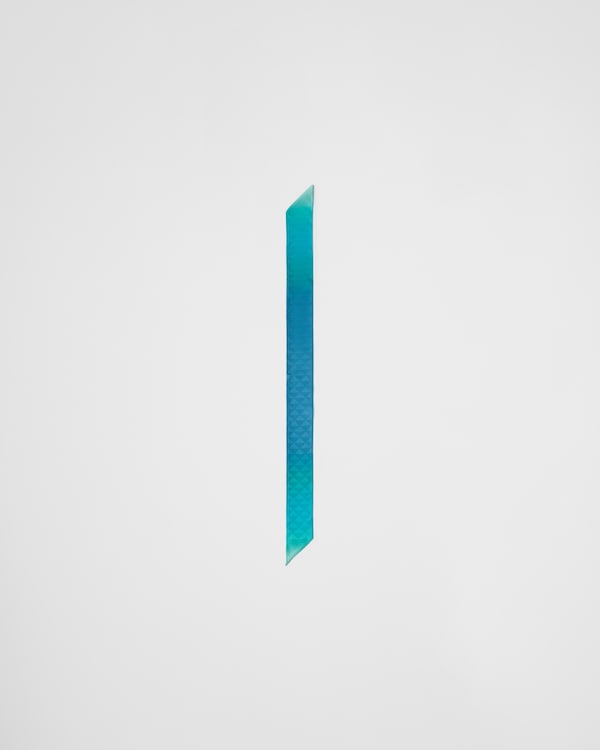 Printed silk twill skinny scarf Printed silk twill skinny scarf