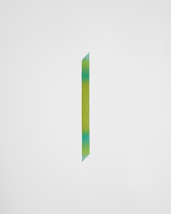 Printed silk twill skinny scarf Printed silk twill skinny scarf