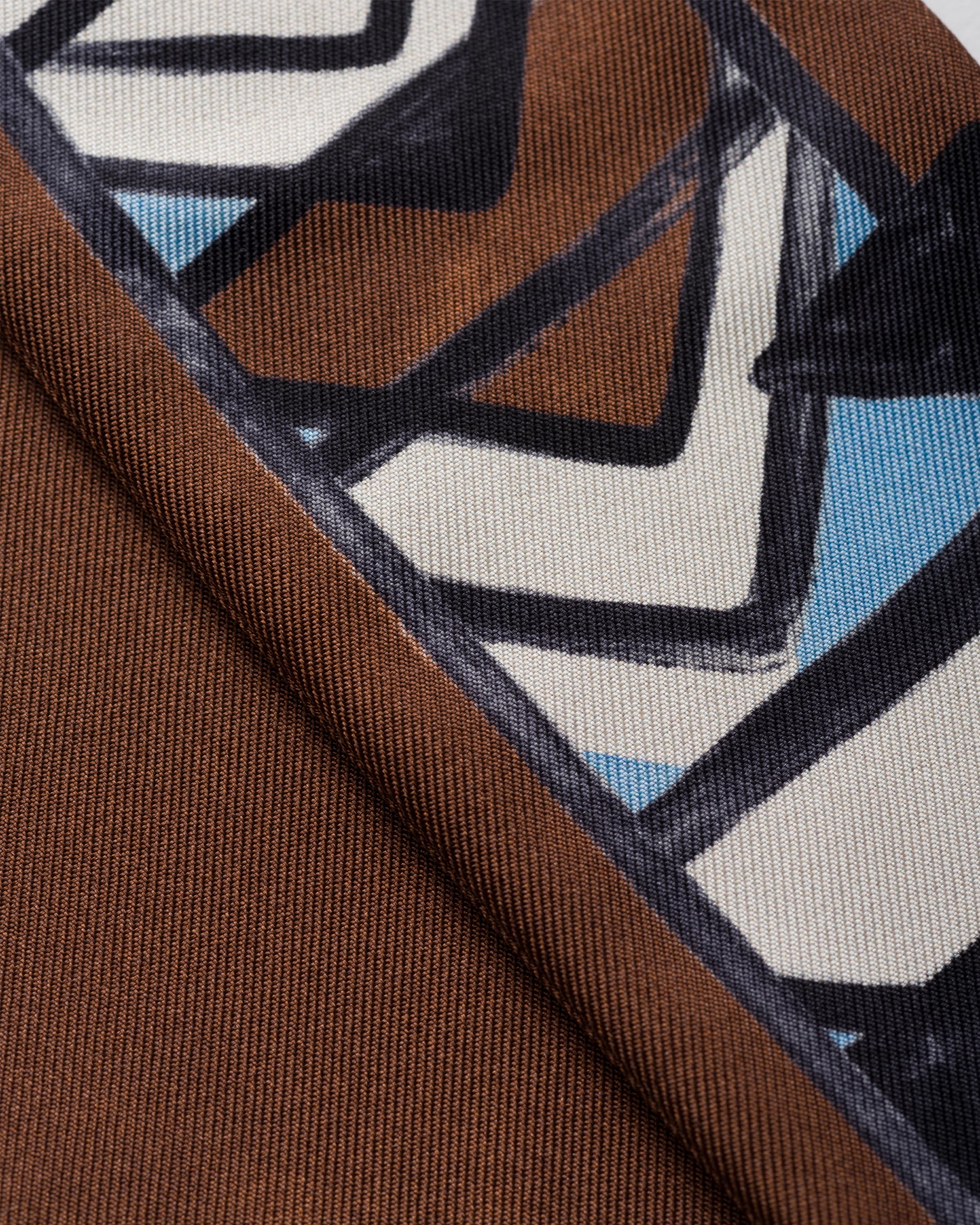 Shop Prada Printed Twill Skinny Scarf In Light Blue/tabacco