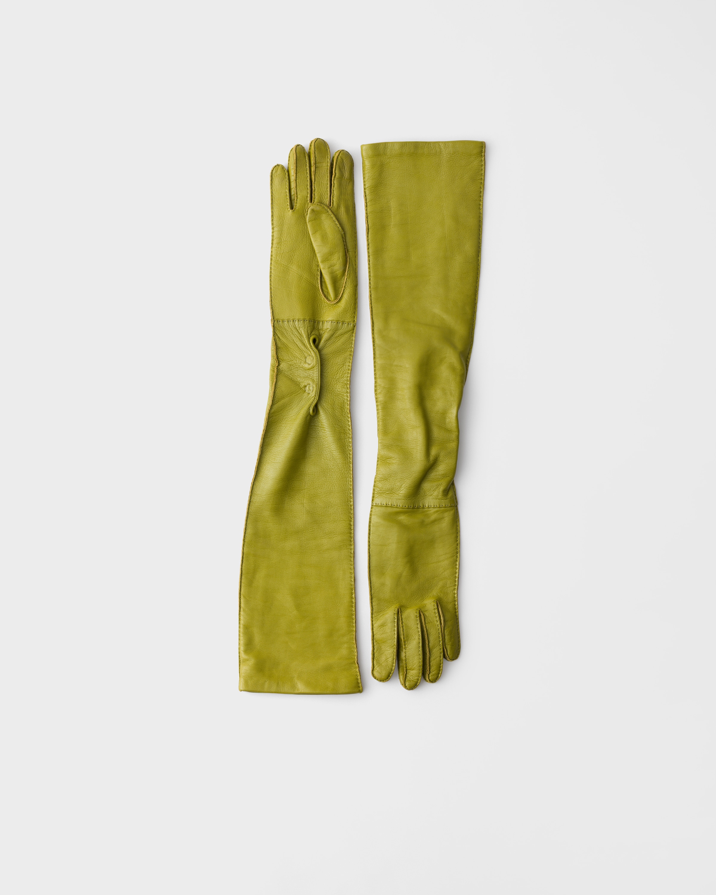 Ivy Green Leather Long Gloves | PRADA - United States