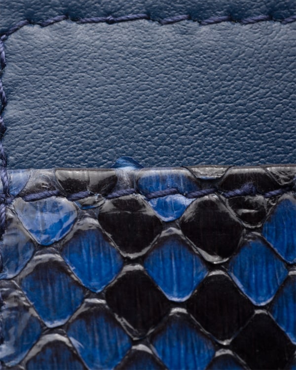 حاملة شارة من جلد الثعبان والجلد - فطر البوليت حاملة شارة من جلد الثعبان والجلد - فطر البوليت