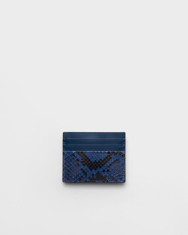 حاملة بطاقات من جلد الثعبان - فطر البوليت حاملة بطاقات من جلد الثعبان - فطر البوليت