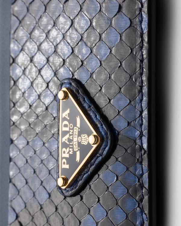 حاملة بطاقات من جلد الثعبان - فطر البوليت حاملة بطاقات من جلد الثعبان - فطر البوليت