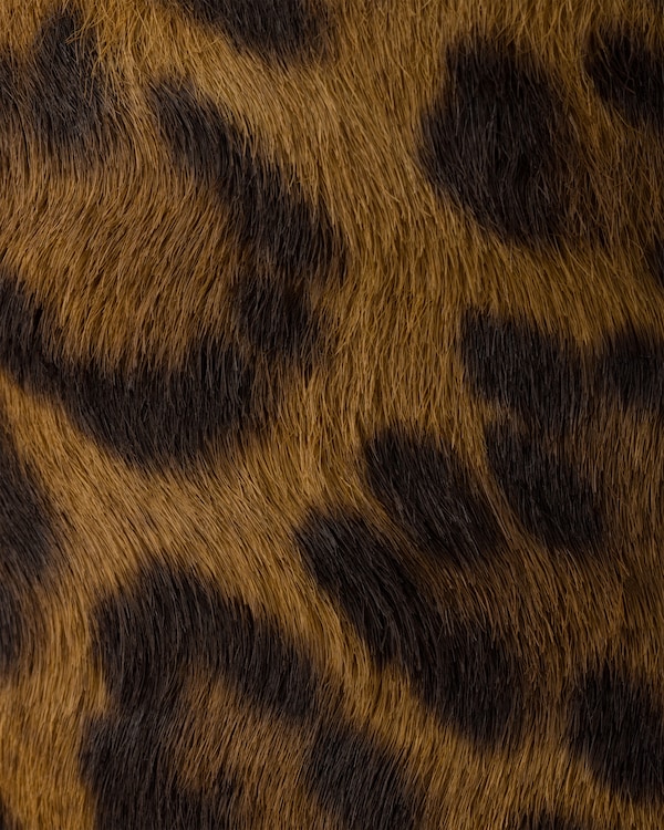 Leopard-print leather mules - Honey Leopard-print leather mules - Honey