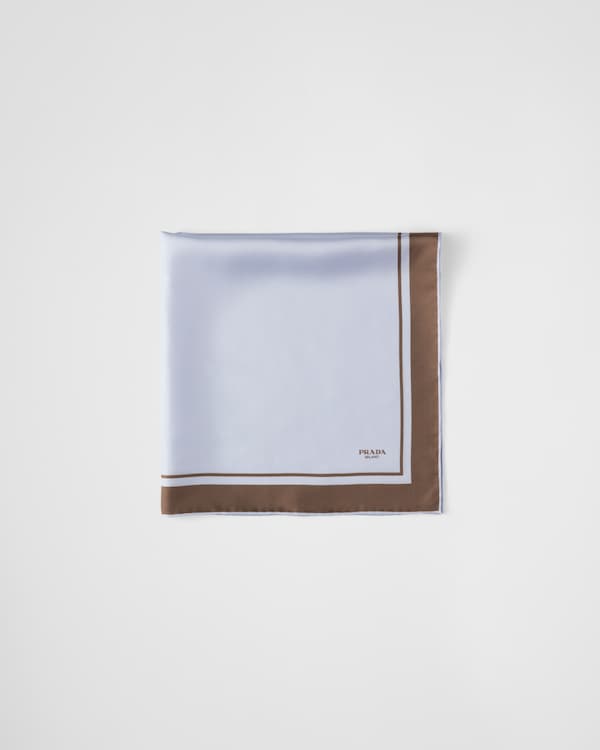 Printed silk twill scarf - Sky Blue/Ebony Printed silk twill scarf - Sky Blue/Ebony