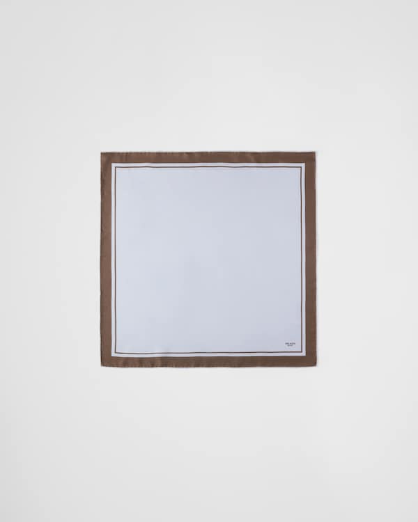 Printed silk twill scarf - Sky Blue/Ebony Printed silk twill scarf - Sky Blue/Ebony