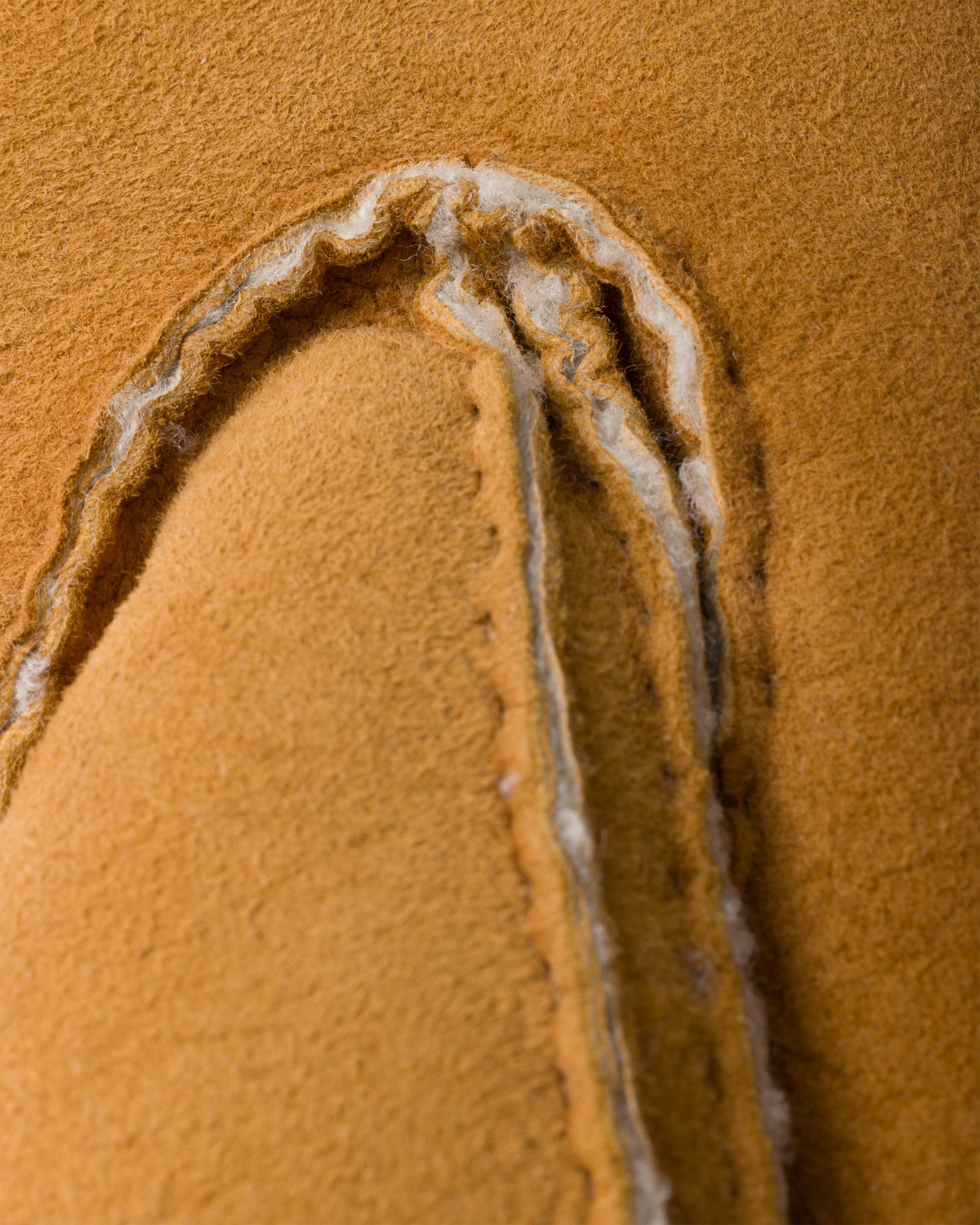 Prada Suede Gloves In Honey