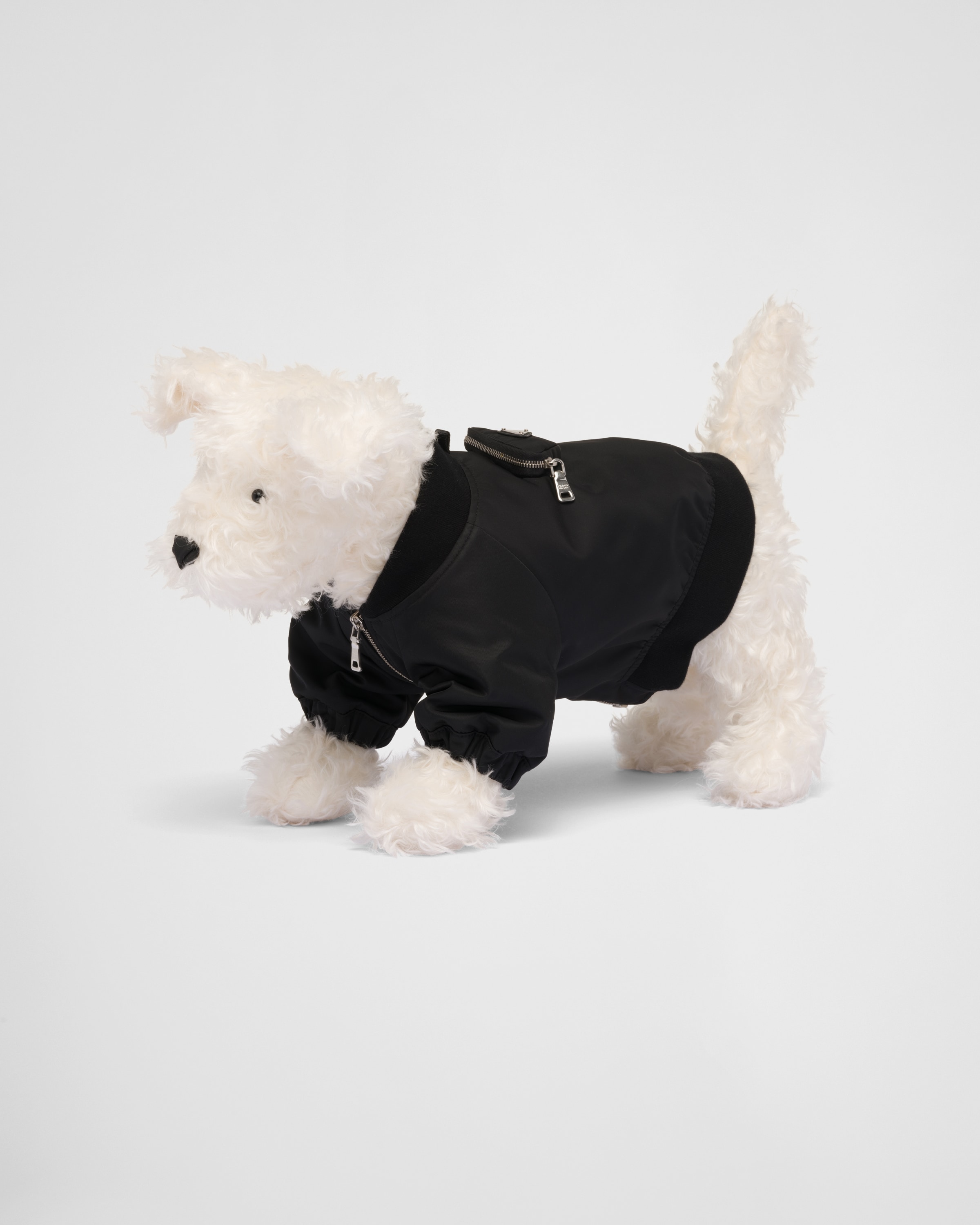 Prada Hundemantel Aus Re-nylon In Schwarz