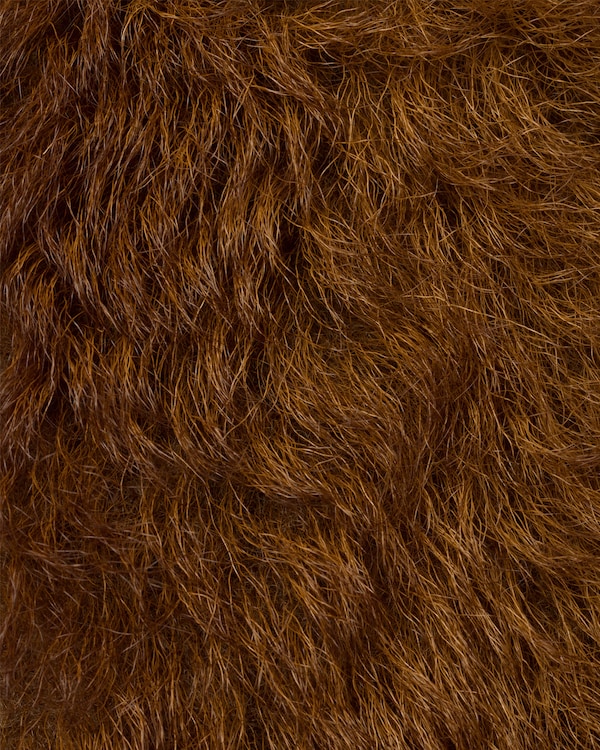 Shearling collar Shearling collar