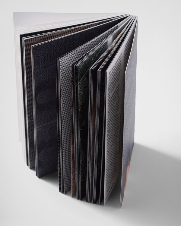 Belligerent Eyes - 5k Confinement - 2017 Belligerent Eyes - 5k Confinement - 2017