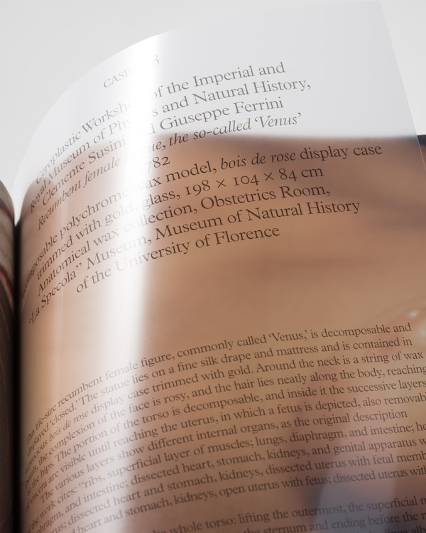 Cere Anatomiche - 2023 Cere Anatomiche - 2023