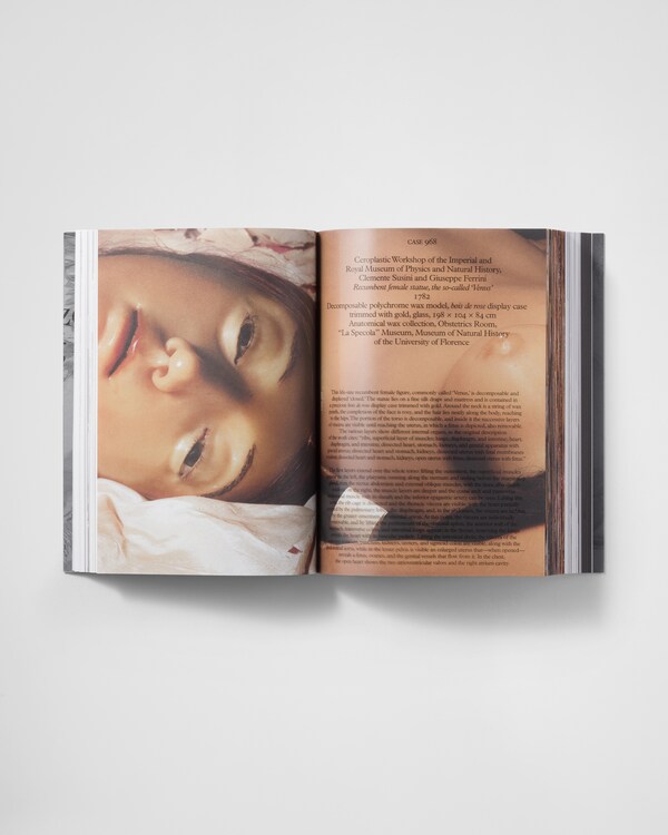 Cere Anatomiche - 2023 Cere Anatomiche - 2023