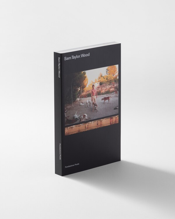 Sam Taylor - Wood - 1998 - Neutral Sam Taylor - Wood - 1998 - Neutral