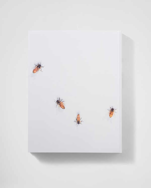 Tom Friedman – 2002 - Neutral Tom Friedman – 2002 - Neutral