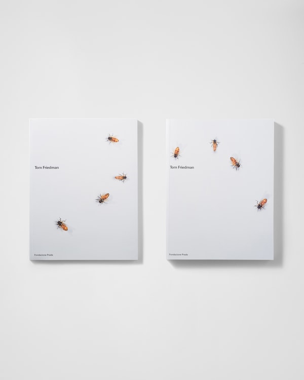 Tom Friedman – 2002 - Neutral Tom Friedman – 2002 - Neutral