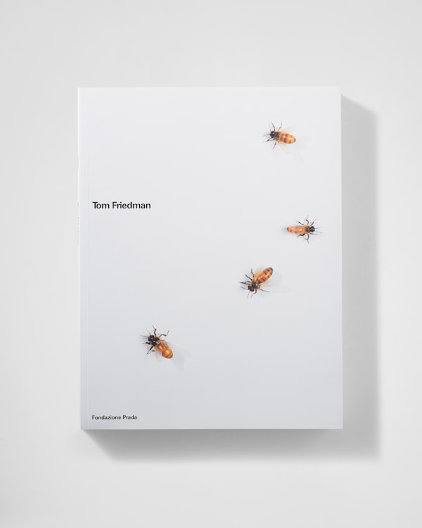 Tom Friedman – 2002 - Neutral Tom Friedman – 2002 - Neutral