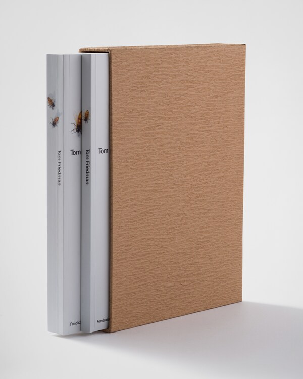 Tom Friedman – 2002 - Neutral Tom Friedman – 2002 - Neutral