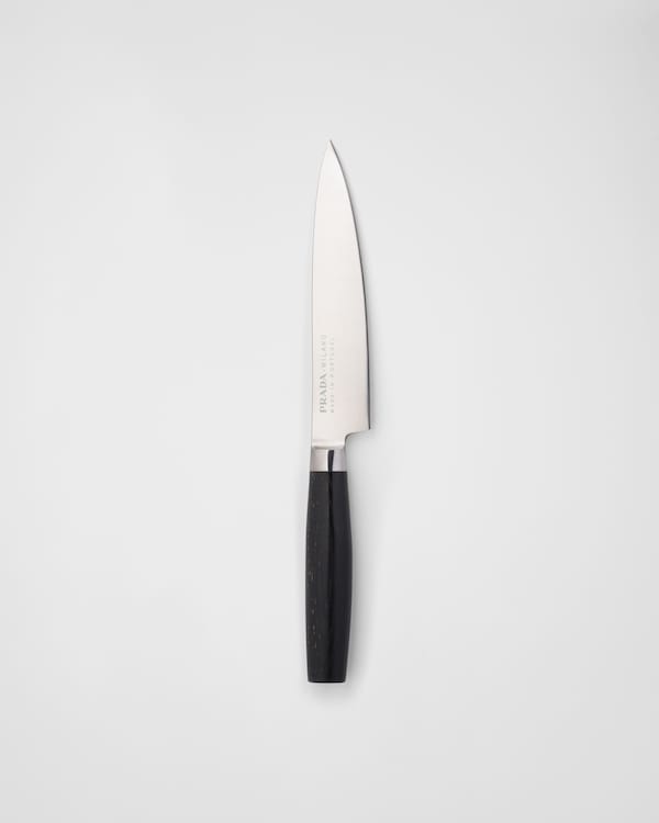 Small steel kitchen knife - Contemporary Knives Small steel kitchen knife - Contemporary Knives