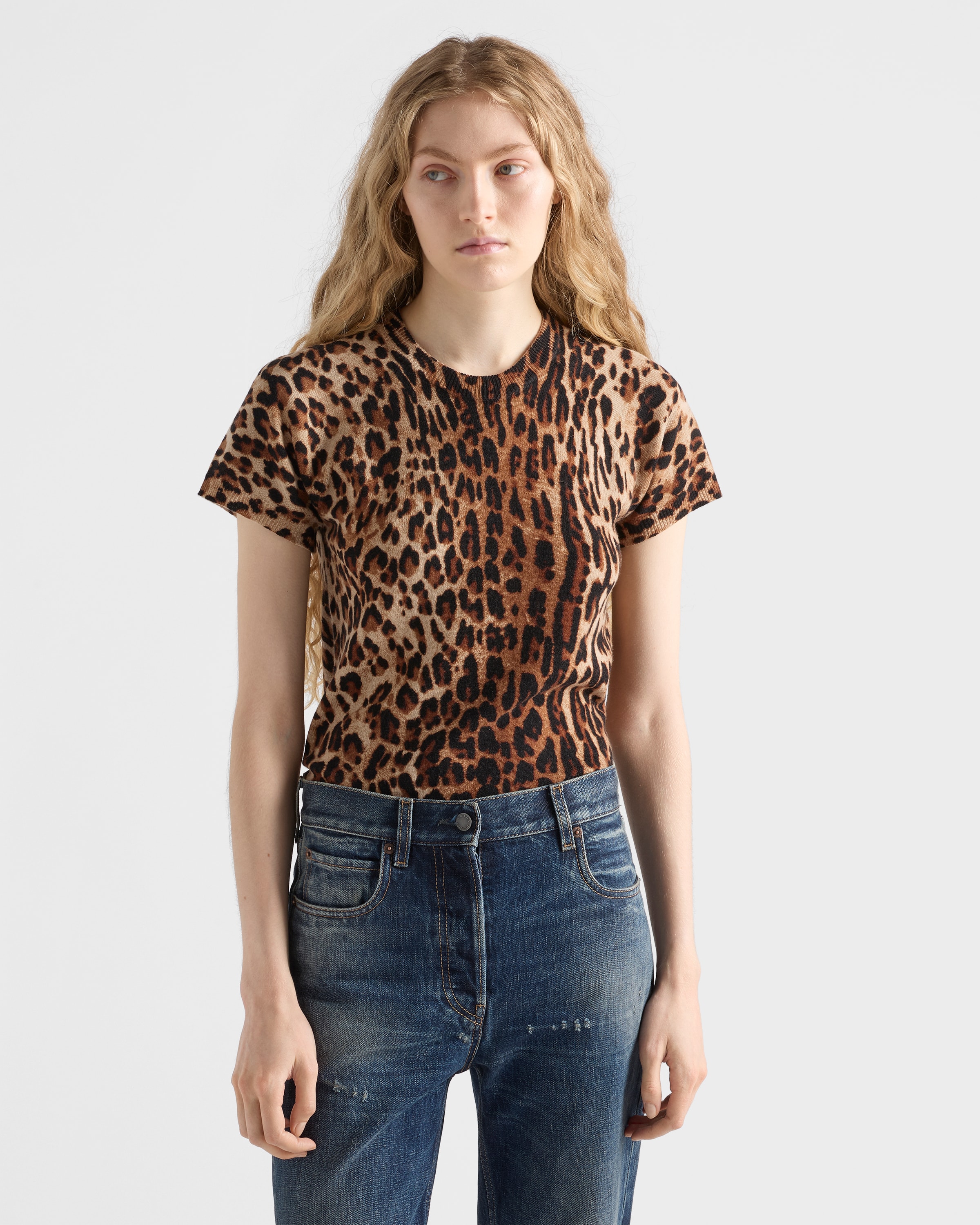 Camel Brown Short-sleeved Printed Cashmere Sweater | PRADA