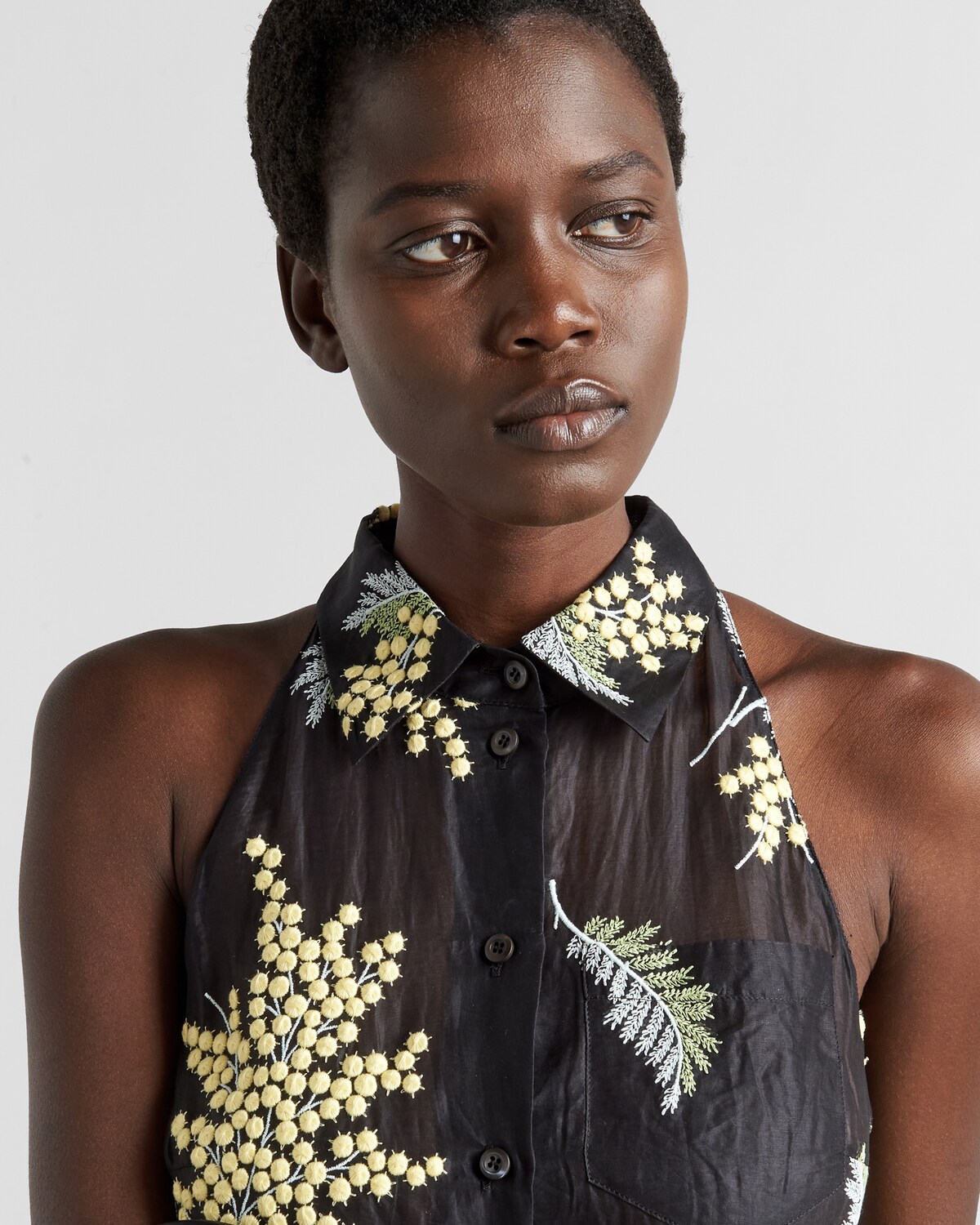 Black Embroidered Organza Wanda main image 1