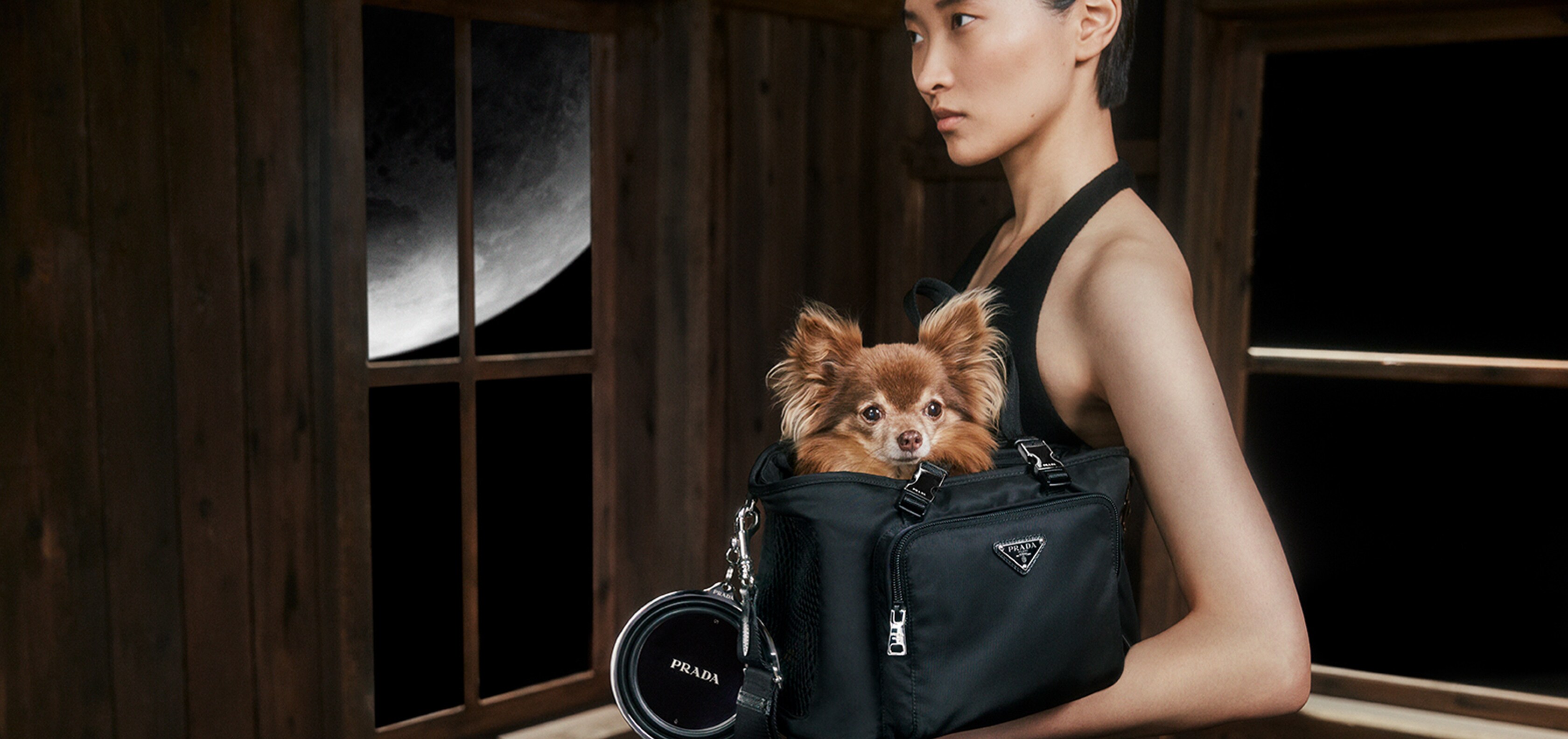 Lifestyle Accessories