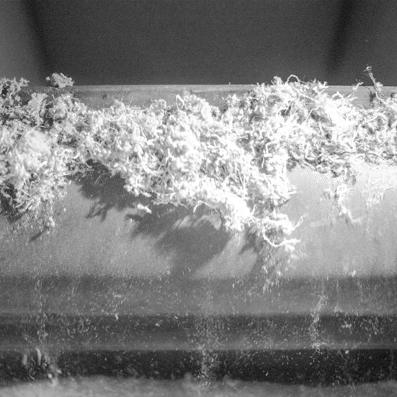 detail-image detail-image