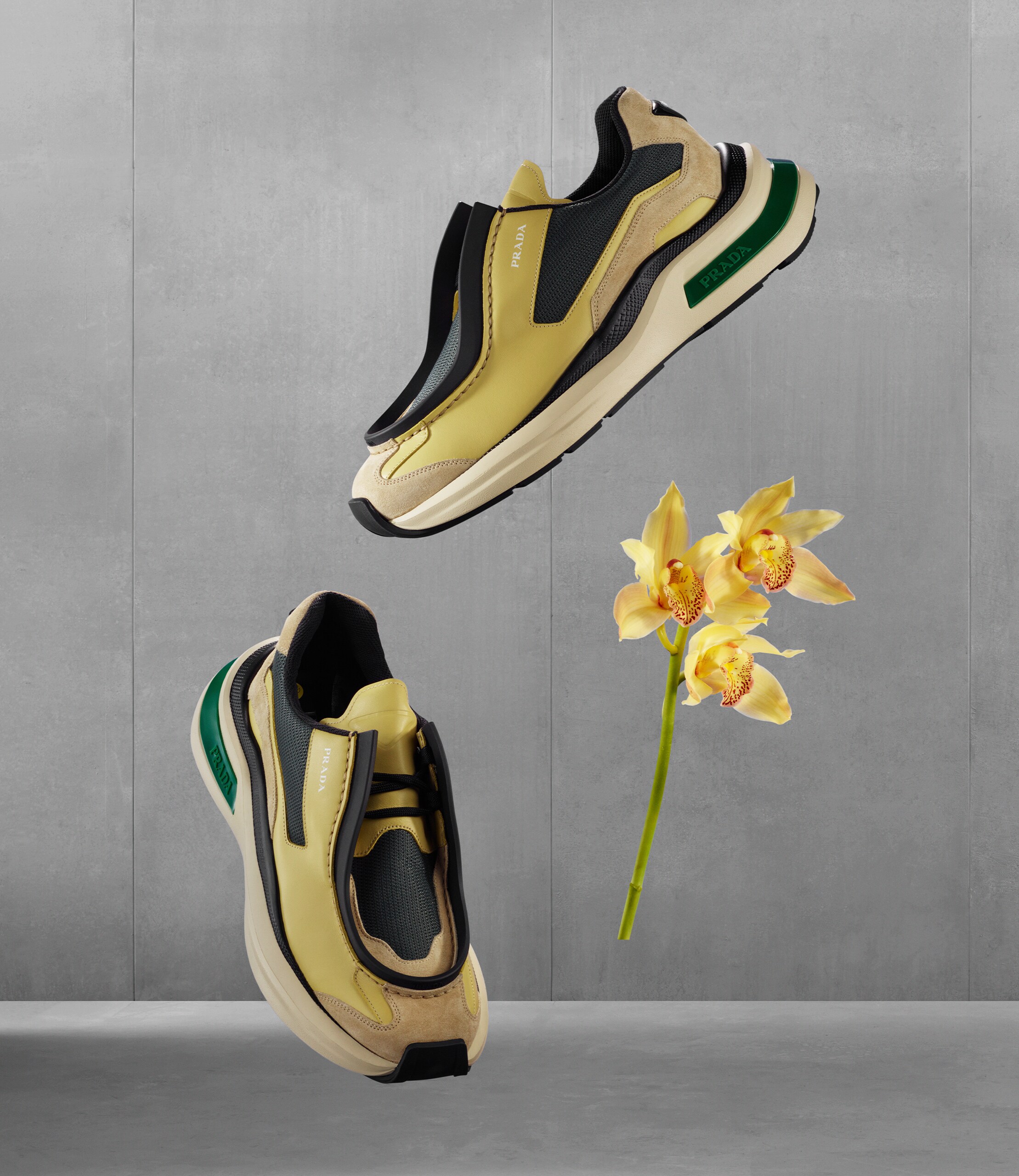 English  PRADA