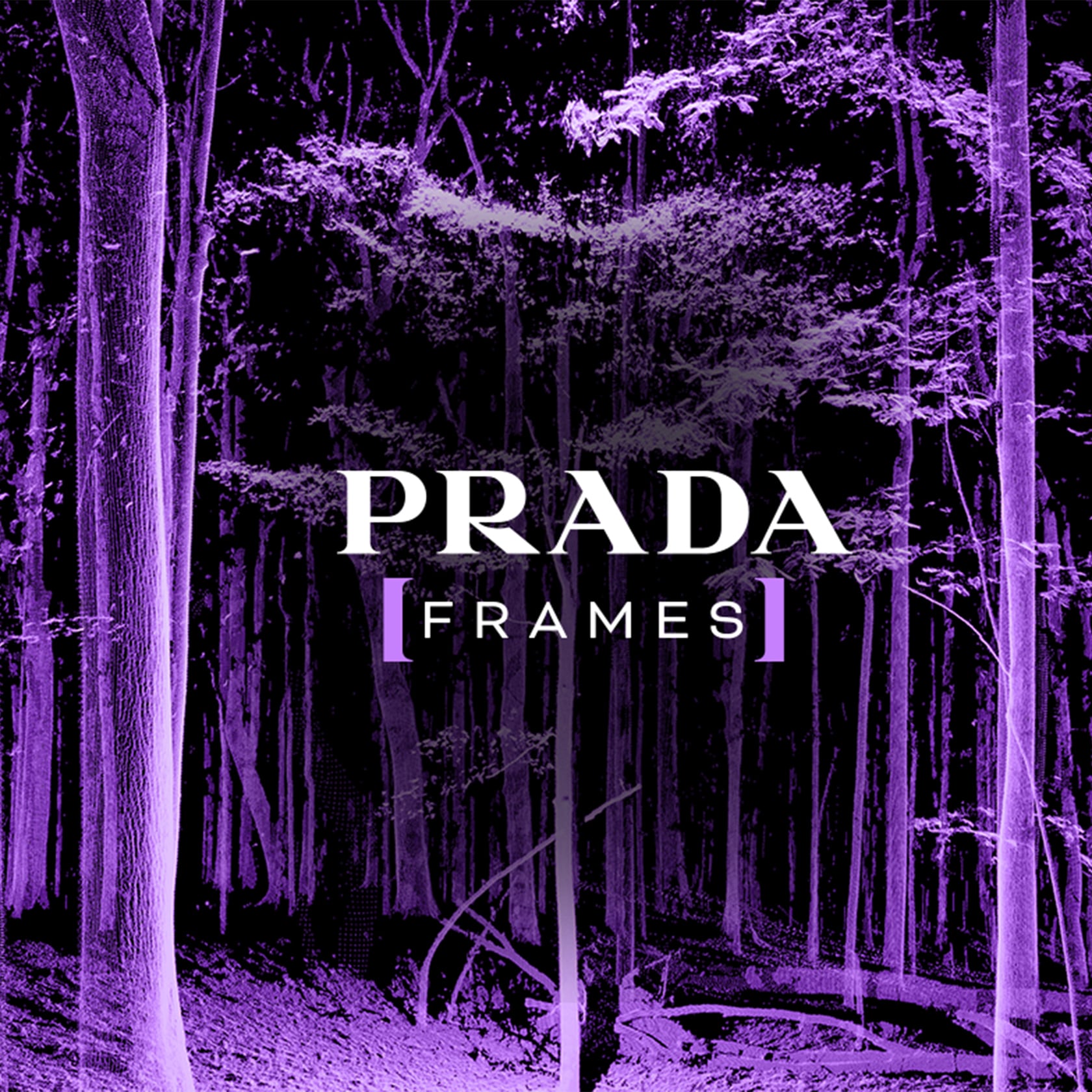 Prada Frames