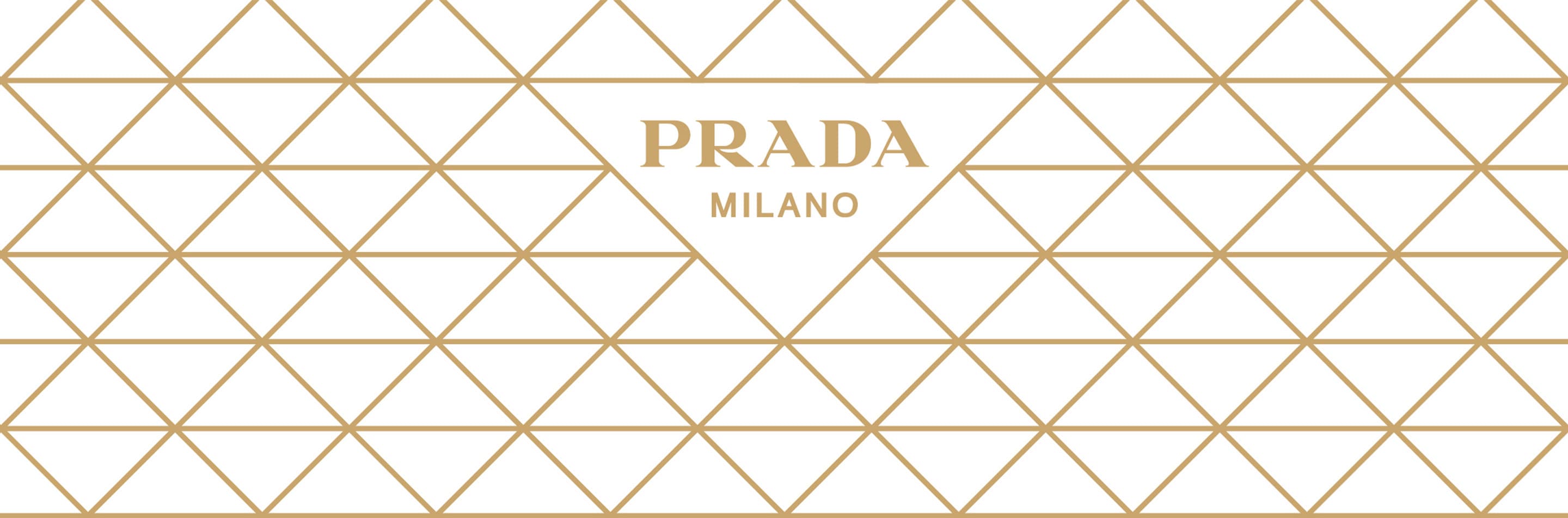 Prada shop shine collection