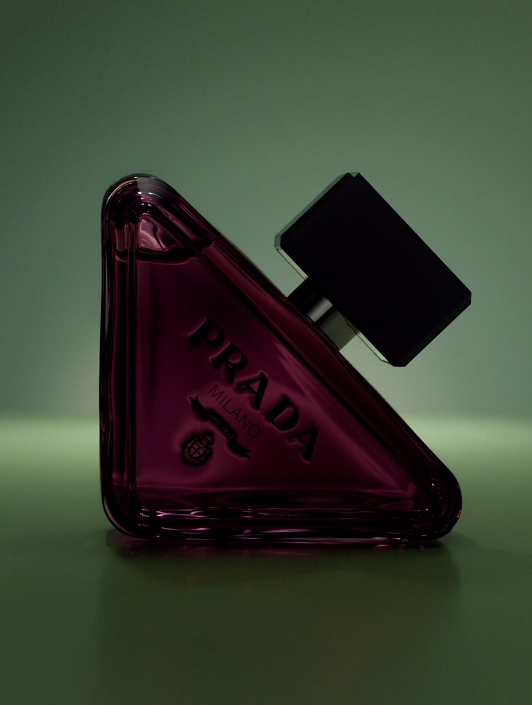Paradoxe | PRADA - United States