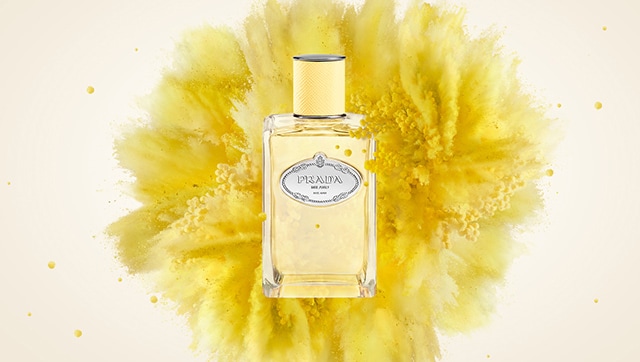 Graphismes Les Infusions Mimosa