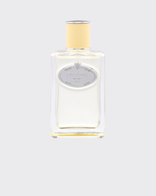 prada mimosa 100ml