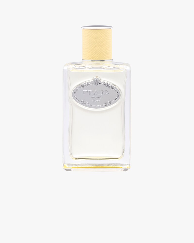 infusion mimosa prada