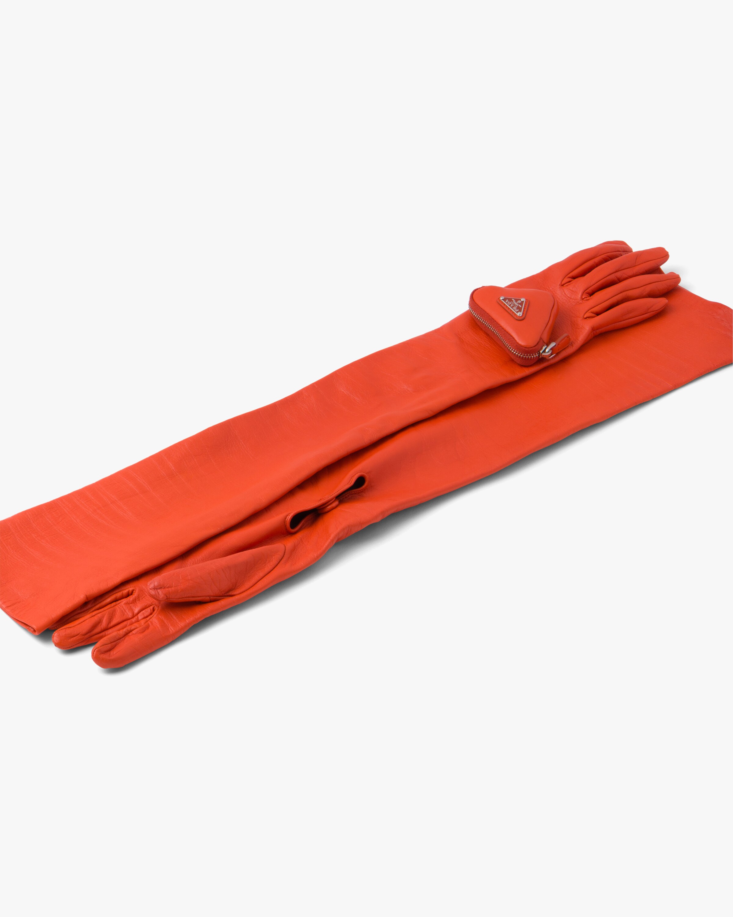 Long nappa gloves Gloves