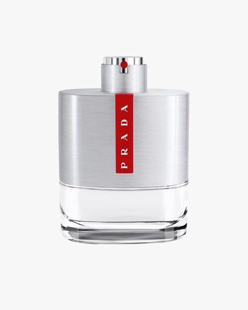prada birkin