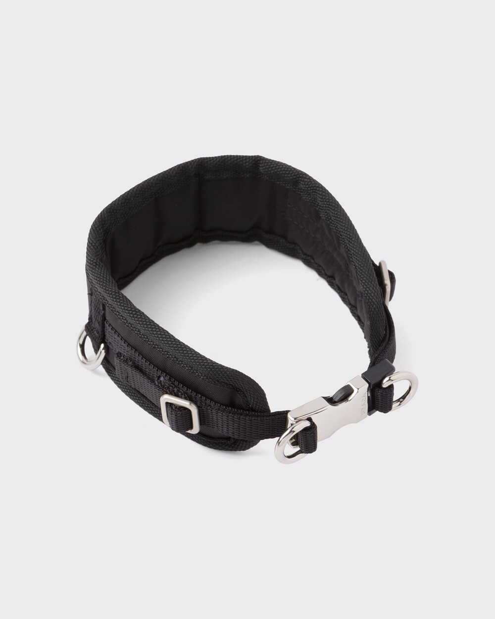 black collar dog