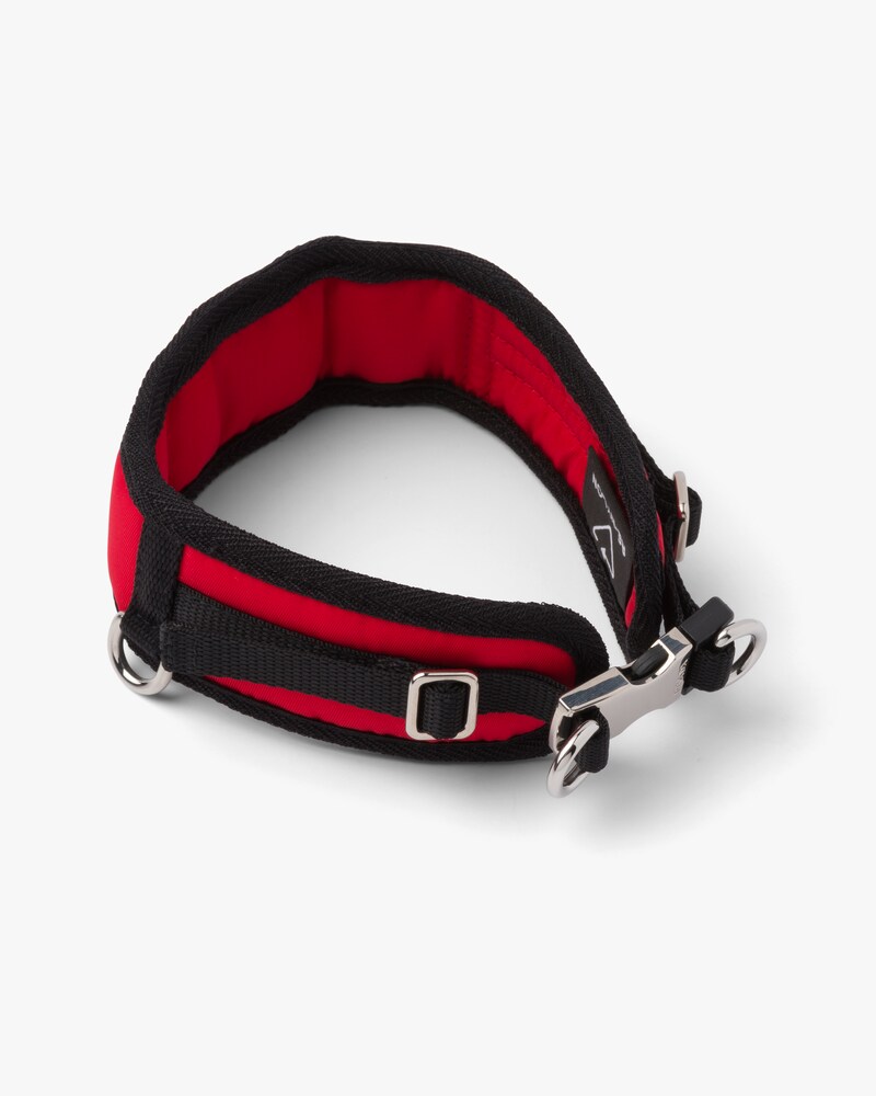 prada dog collar