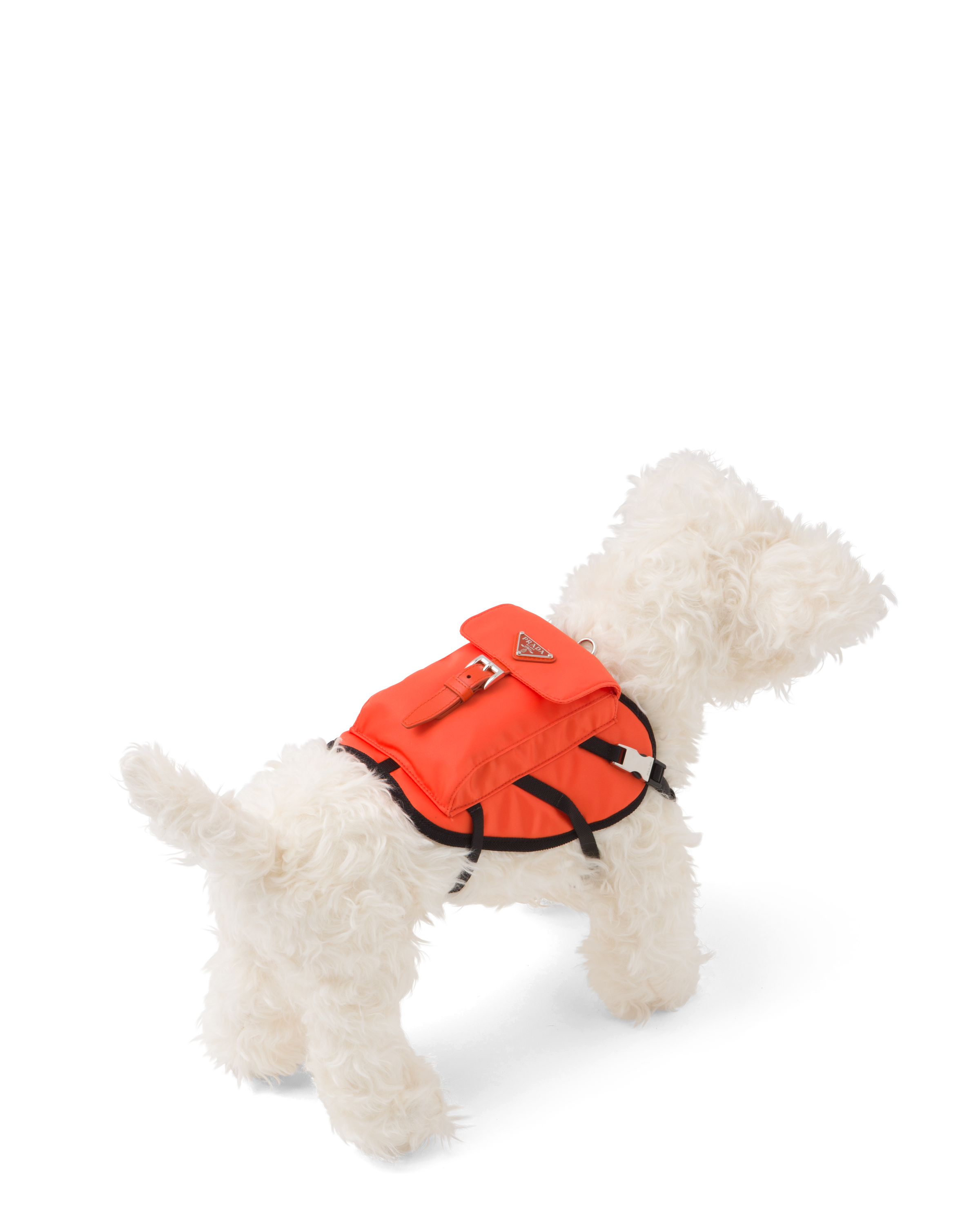 Prada dog harness clearance