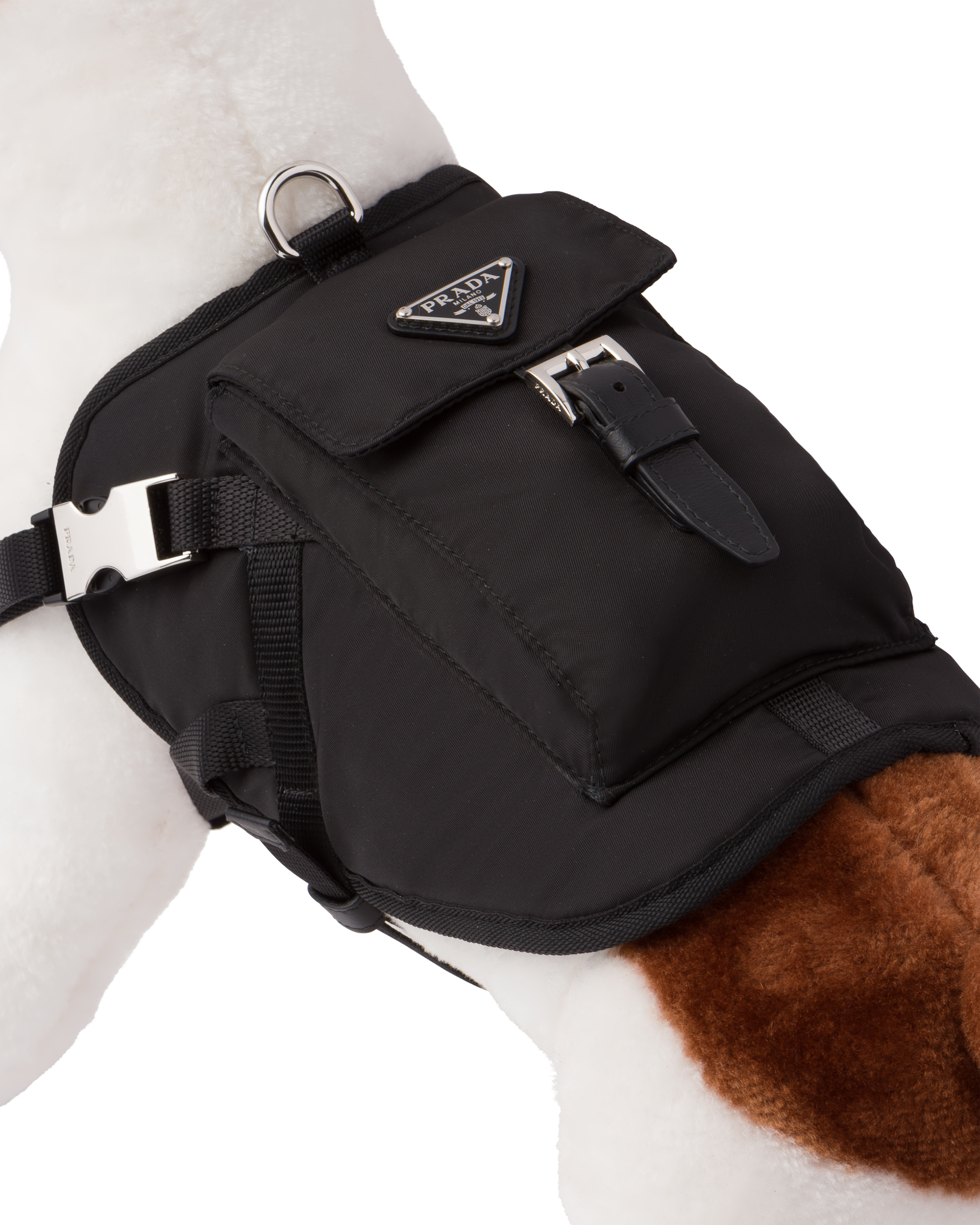 prada dog bag