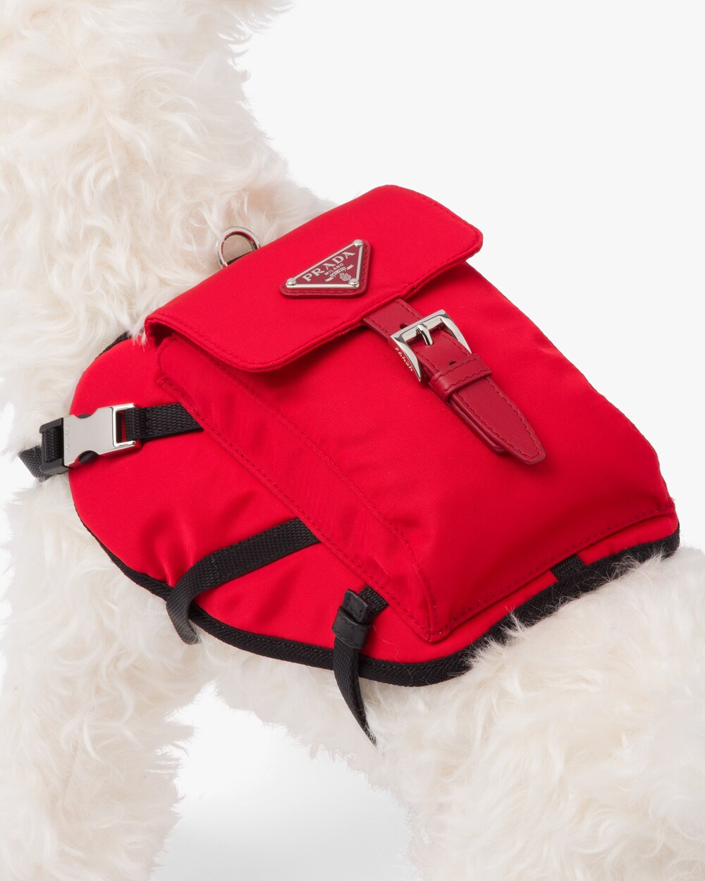 prada harness