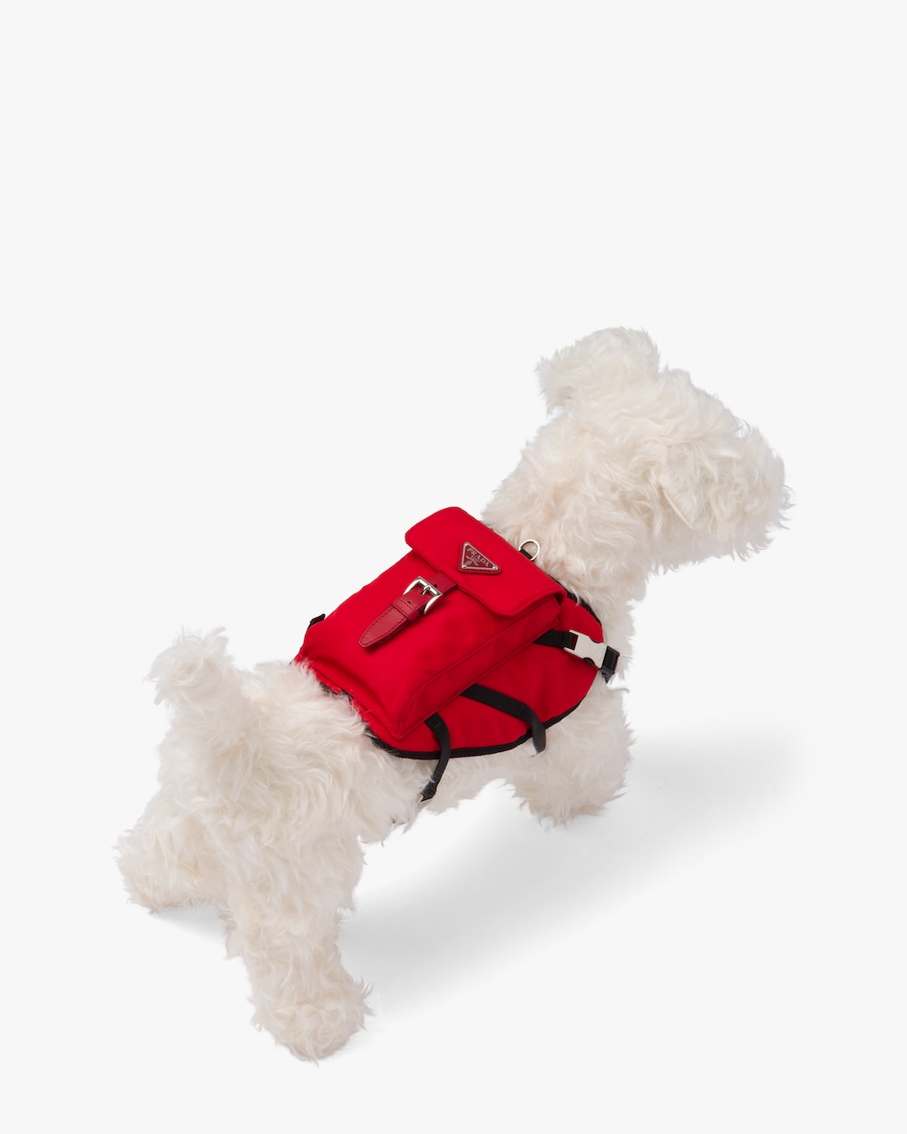 cloth dog harness