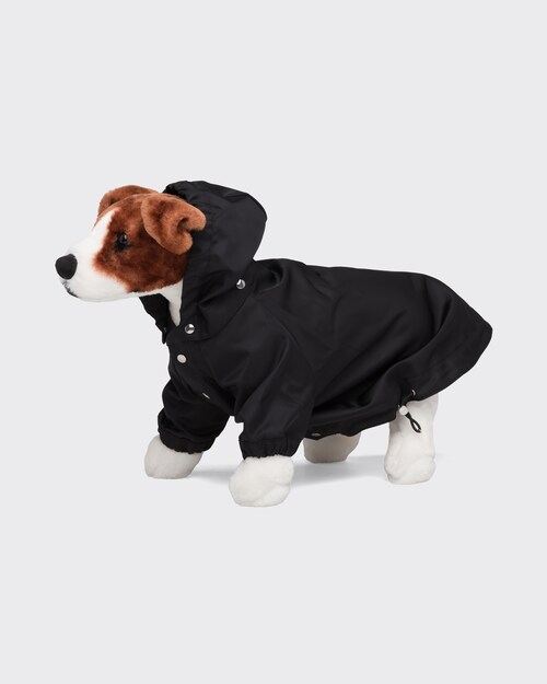 black dog raincoat