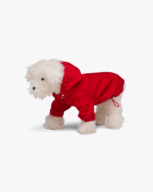 red dog raincoat