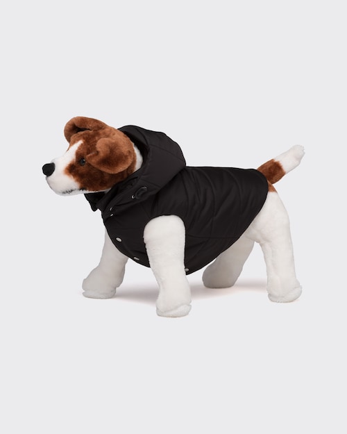 ecotrition cheese chews