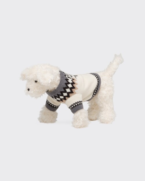 Camel Brown Wool and cashmere dog 