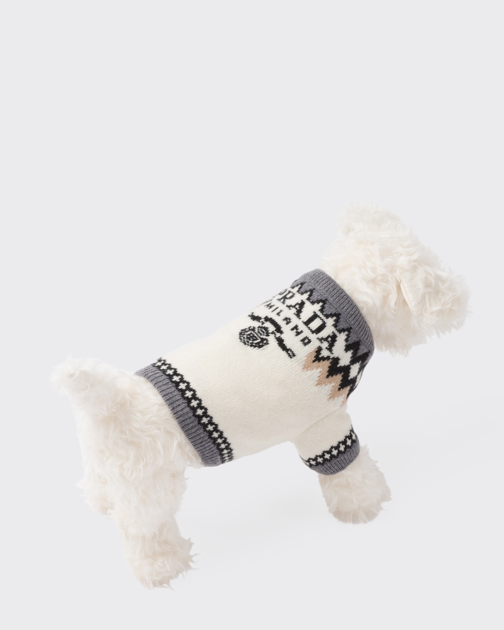 white dog sweater