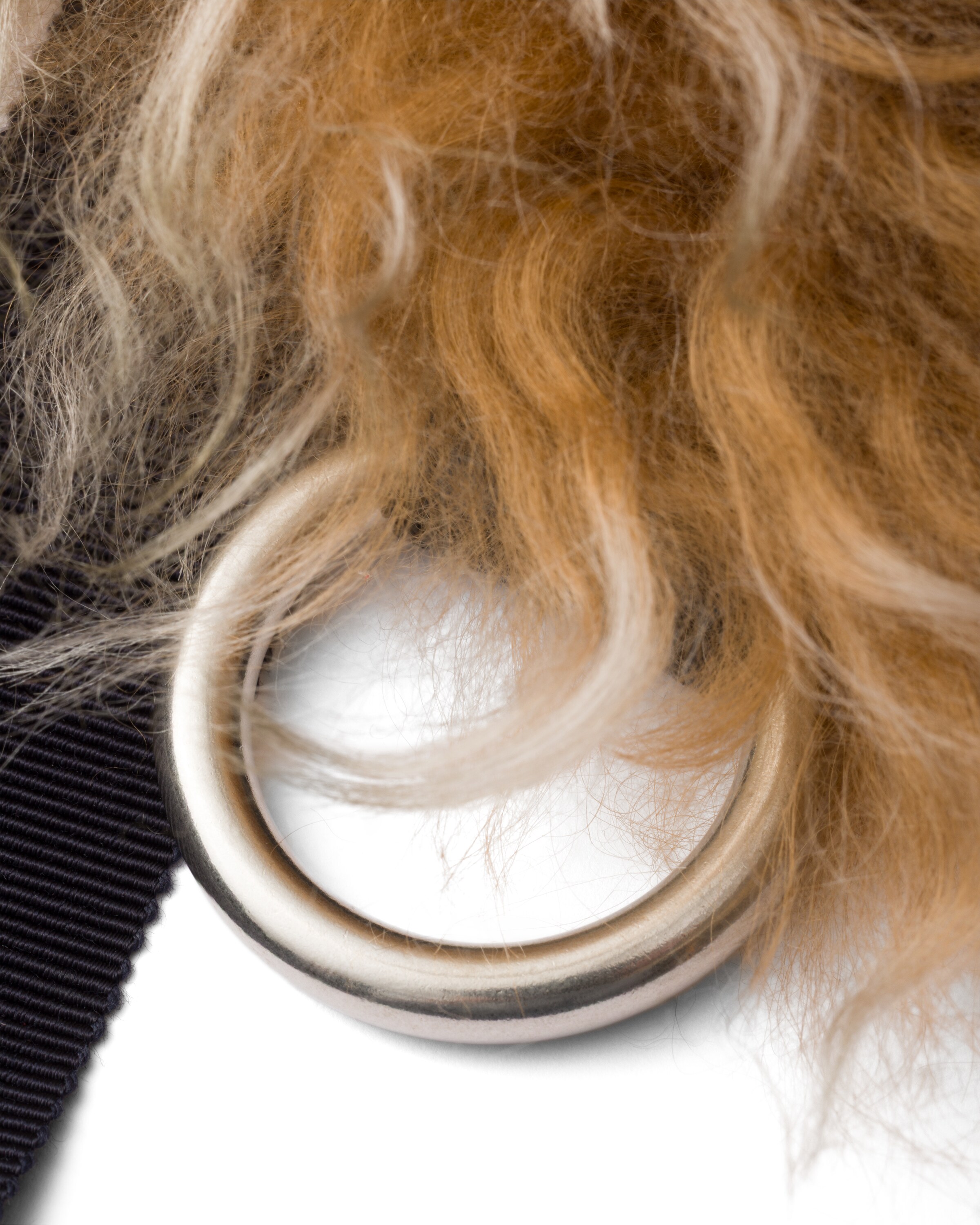 Prada Mongolia Shearling Collar In Brown